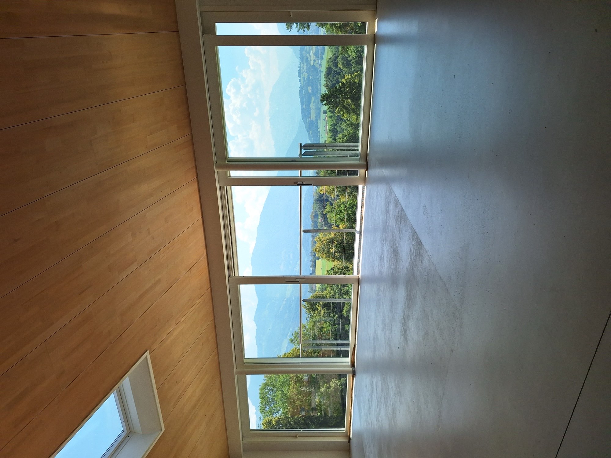 Einfamilienhaus in Ernetschwil mit Blick in die Landschaft